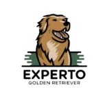 Experto Golden Retriever